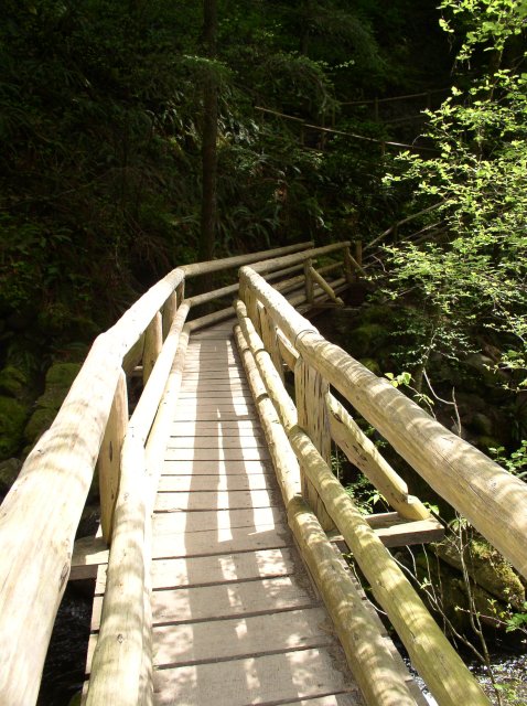 4.30.06 Hamilton Mountain 027 